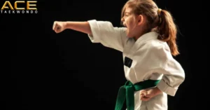 Perfect Taekwondo Punches