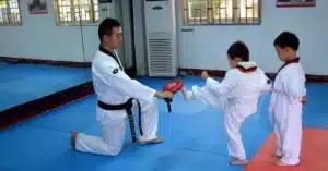 Taekwondo techniques for beginners