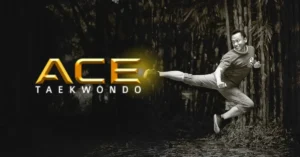 Taekwondo Workout Routines